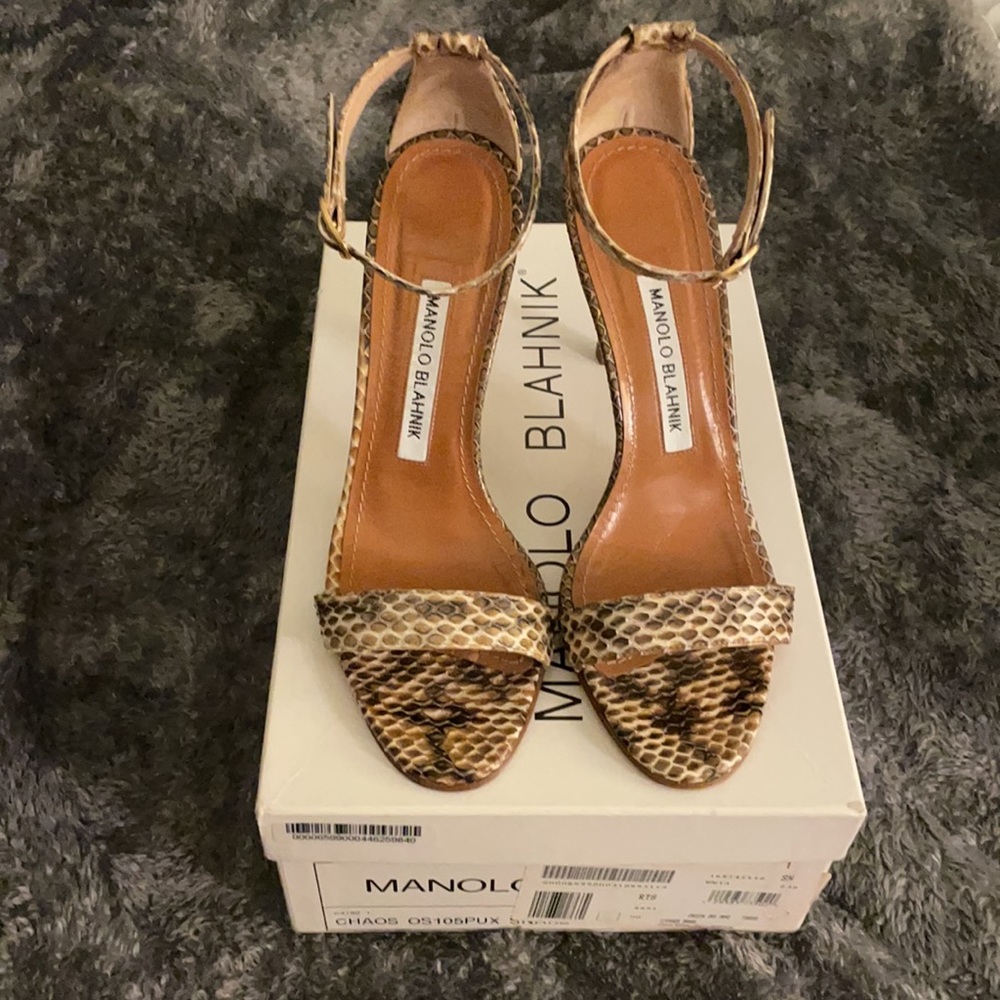 Manolo Blahnik Chaos Snake print
